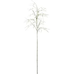 Gräs