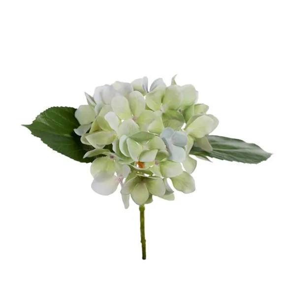 Hortensia snittblomma