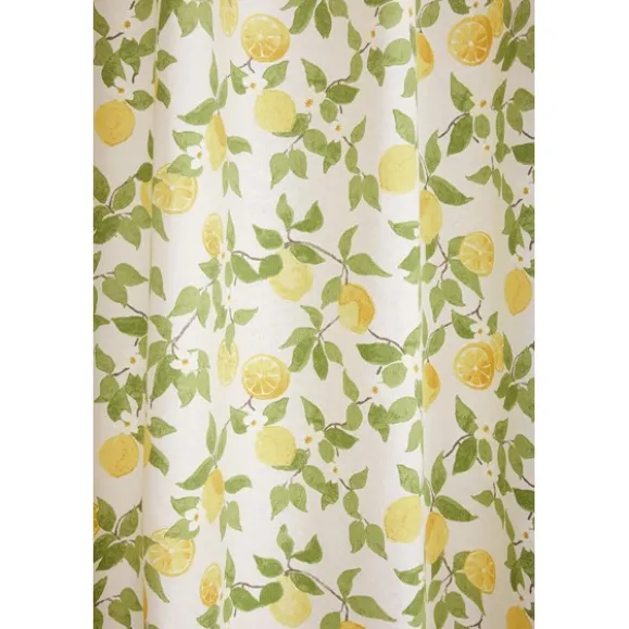 Lemonia gardiner 2-pack
