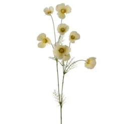 Rosenskära